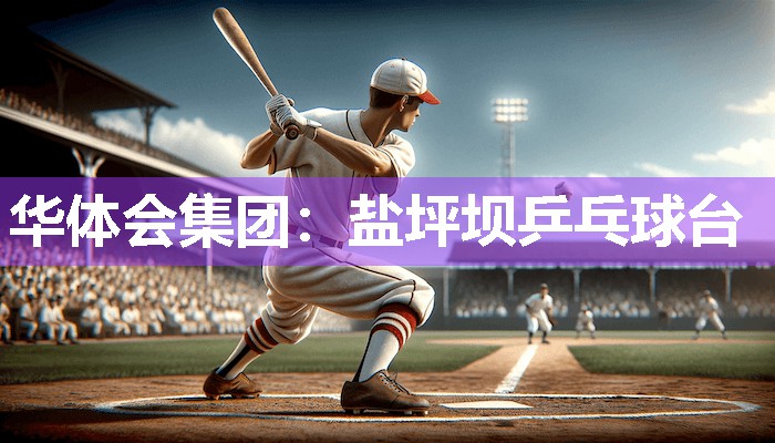 华体会集团：盐坪坝乒乓球台