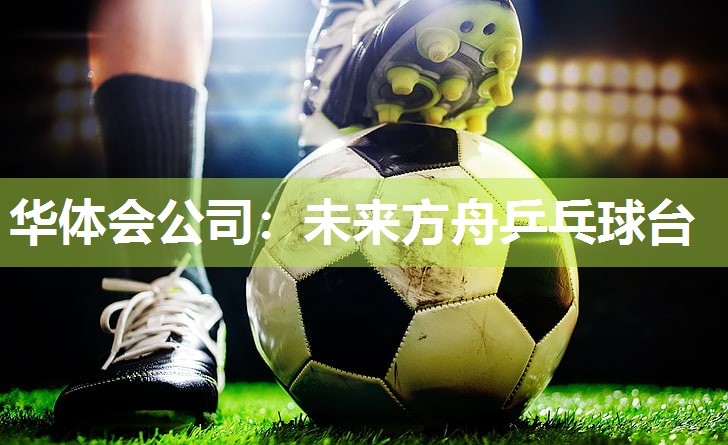 华体会公司：未来方舟乒乓球台