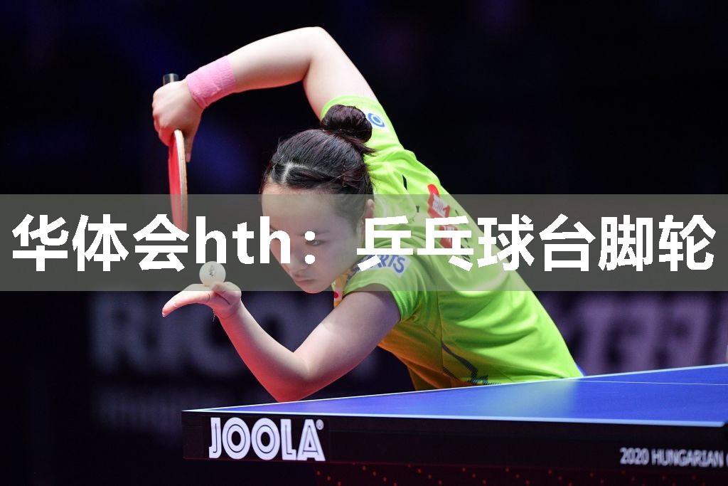 华体会hth：乒乓球台脚轮