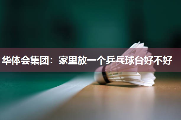 华体会集团：家里放一个乒乓球台好不好