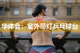 华体会：室外带灯乒乓球台