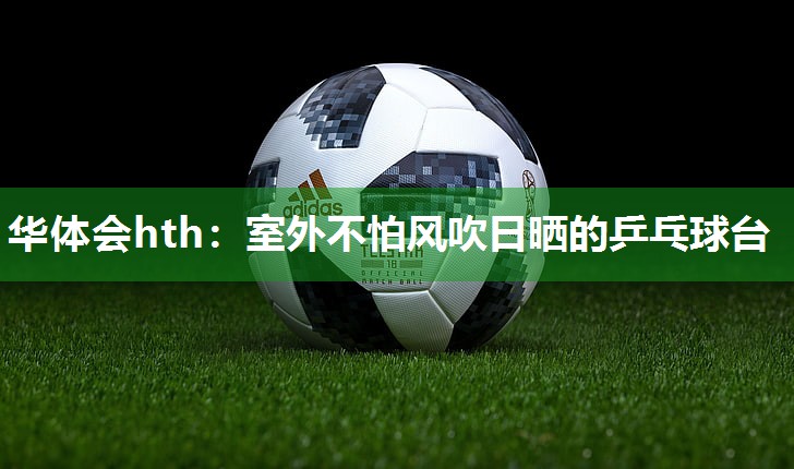 华体会hth：室外不怕风吹日晒的乒乓球台