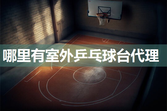 哪里有室外乒乓球台代理