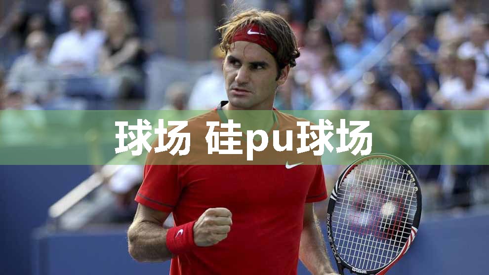 球场 硅pu球场