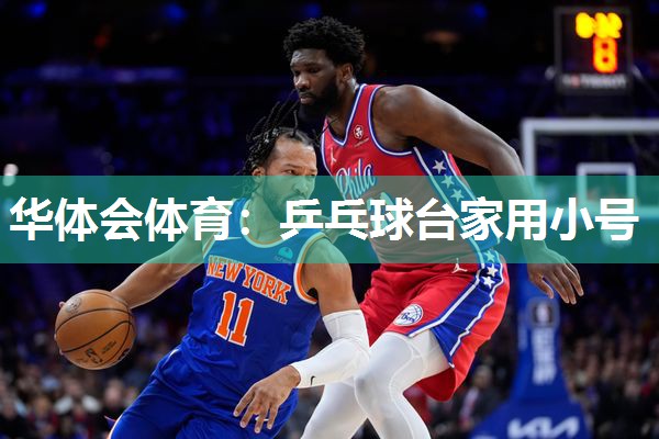 华体会体育：乒乓球台家用小号