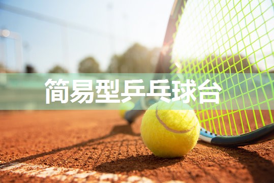 简易型乒乓球台