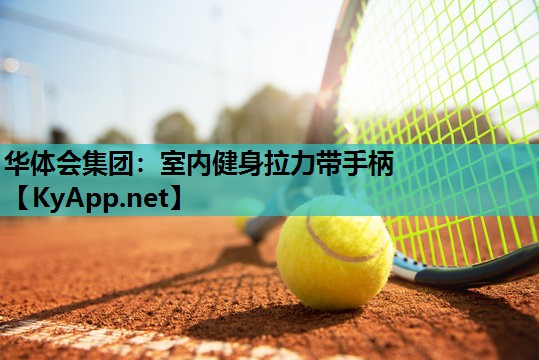 华体会集团：室内健身拉力带手柄