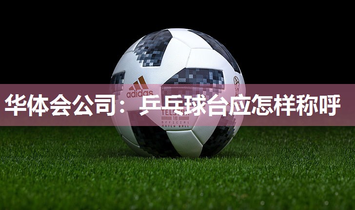 乒乓球台应怎样称呼