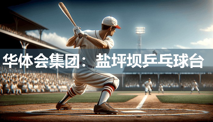 盐坪坝乒乓球台