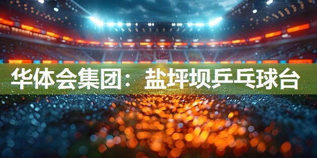 盐坪坝乒乓球台