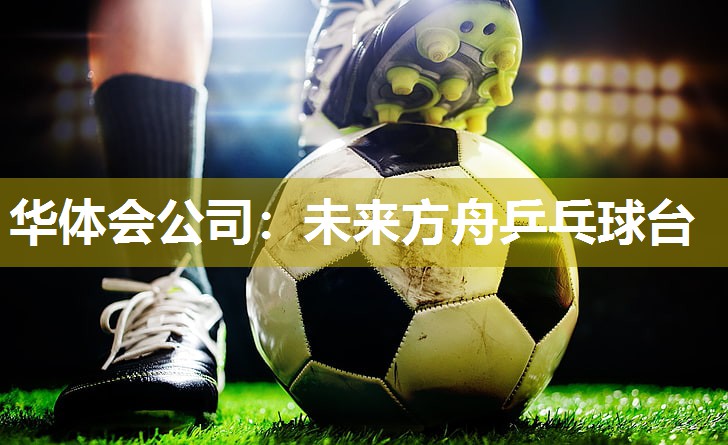未来方舟乒乓球台