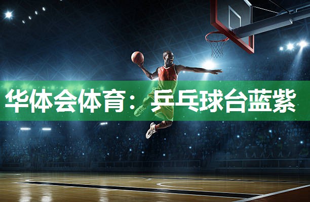 乒乓球台蓝紫