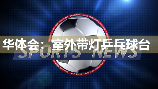 室外带灯乒乓球台