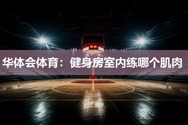 健身房室内练哪个肌肉