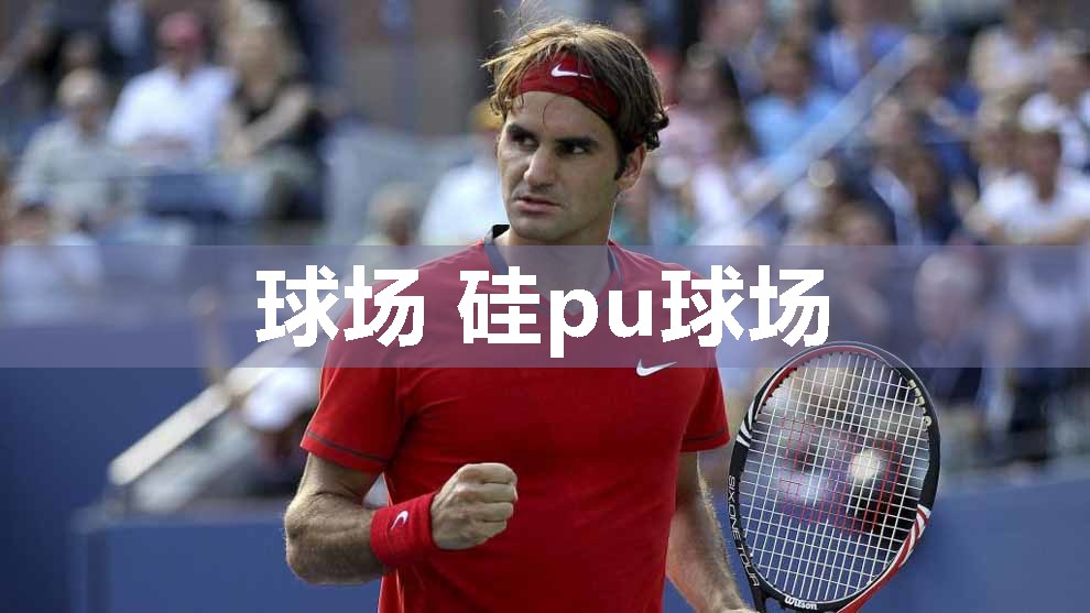 球场 硅pu球场