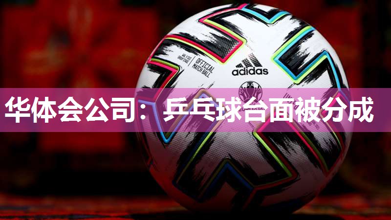 乒乓球台面被分成