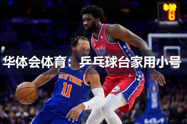 乒乓球台家用小号